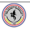 CP Niortais 2